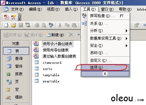 Access数据库选项窗口