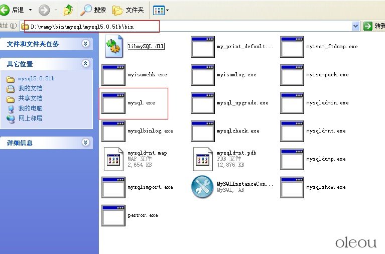 mysql.exe ļ